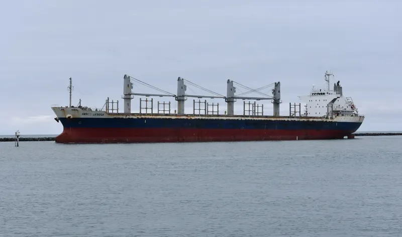 AC SESODA Bulk Carrier IMO 9470791 photo 10