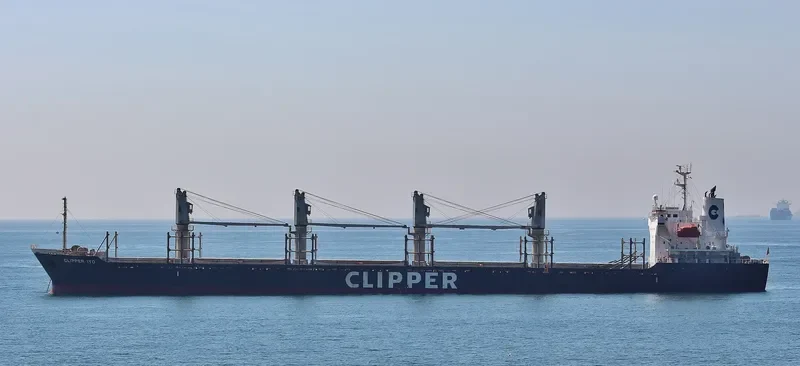 AMALEA Bulk Carrier IMO 9470818