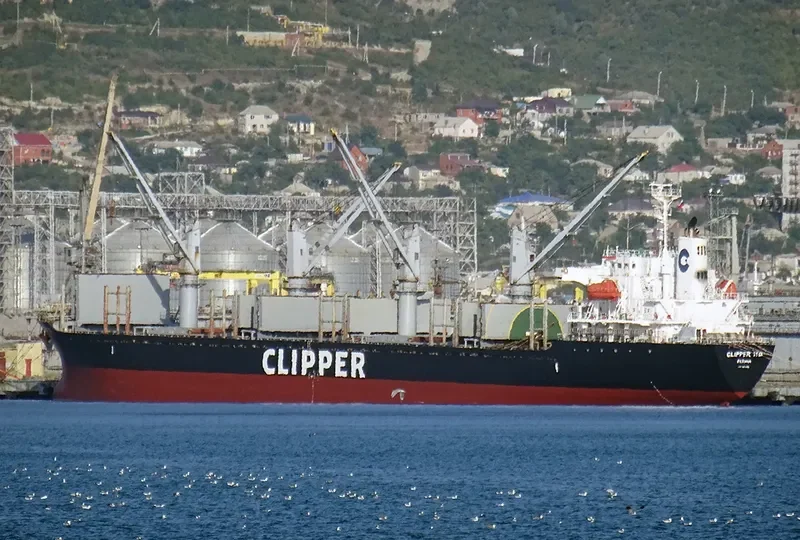 AMALEA Bulk Carrier IMO 9470818 photo 2