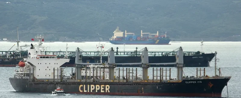 AMALEA Bulk Carrier IMO 9470818 photo 4