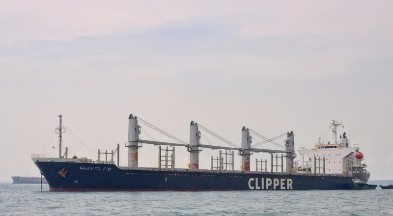 AMALEA Bulk Carrier IMO 9470818 photo 5