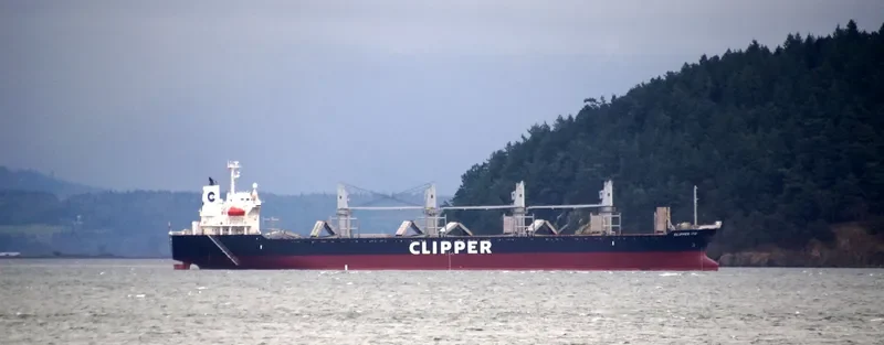 AMALEA Bulk Carrier IMO 9470818 photo 6