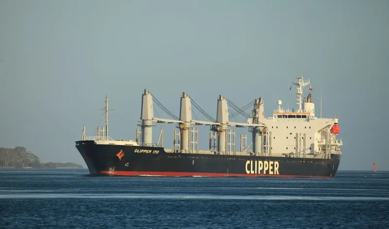 AMALEA Bulk Carrier IMO 9470818 photo 7