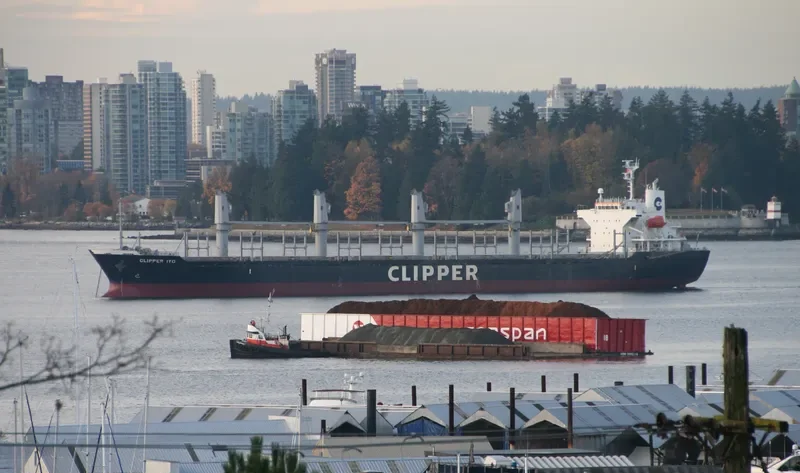 AMALEA Bulk Carrier IMO 9470818 photo 8