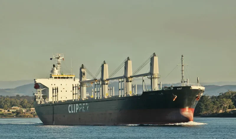 AMALEA Bulk Carrier IMO 9470818 photo 10