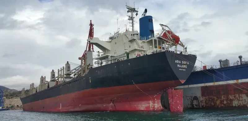 AGIA SOFIA Bulk Carrier IMO 9470820 photo 3