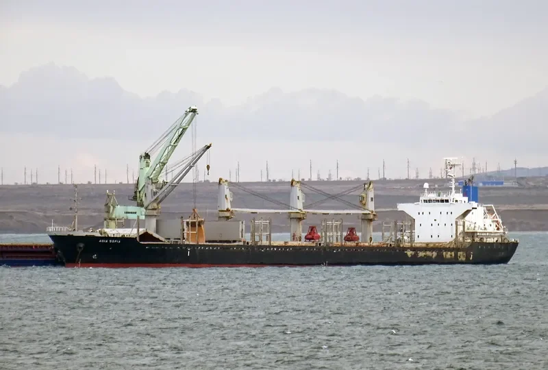 AGIA SOFIA Bulk Carrier IMO 9470820 photo 5