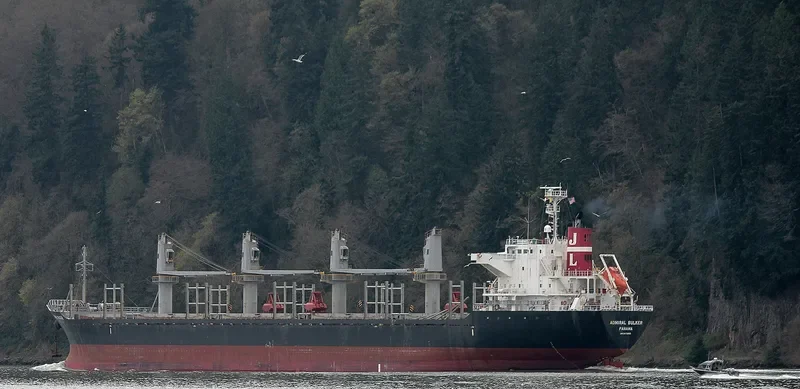 AGIA SOFIA Bulk Carrier IMO 9470820 photo 7