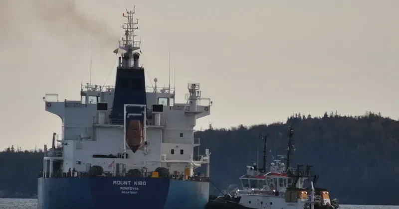 MOUNT KIBO Tanker IMO 9470997 photo 6