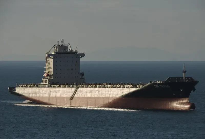 MSC SHAHAR Container Ship IMO 9471238 photo 8