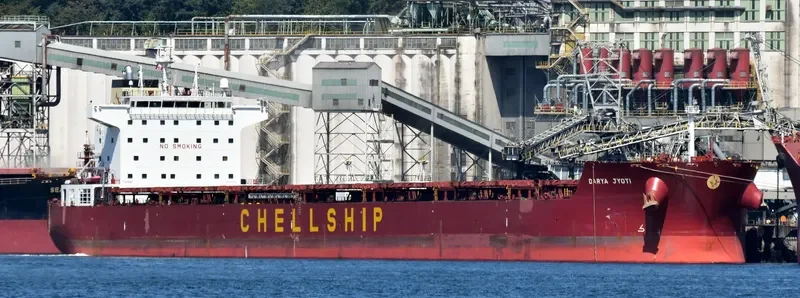 DARYA JYOTI Bulk Carrier IMO 9471240 photo 3