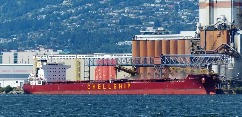 DARYA JYOTI Bulk Carrier IMO 9471240 photo 5