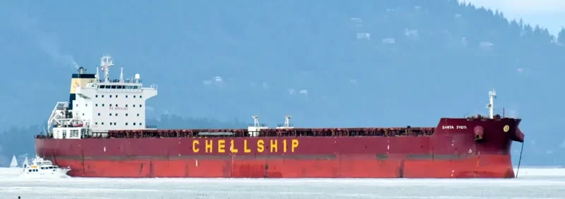 DARYA JYOTI Bulk Carrier IMO 9471240 photo 7