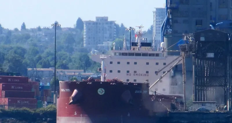DARYA JYOTI Bulk Carrier IMO 9471240 photo 8
