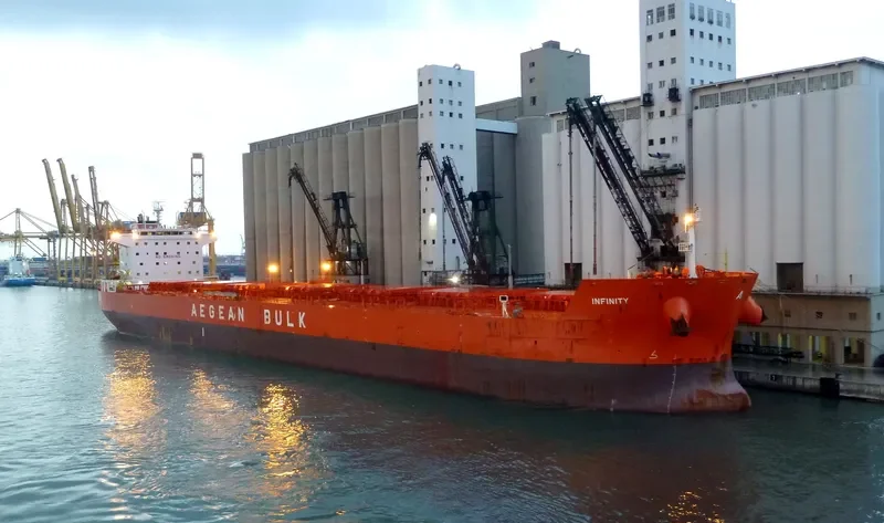 INFINITY Bulk Carrier IMO 9471264 photo 3