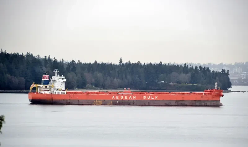 INFINITY Bulk Carrier IMO 9471264 photo 4