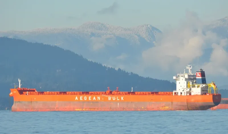 INFINITY Bulk Carrier IMO 9471264 photo 7