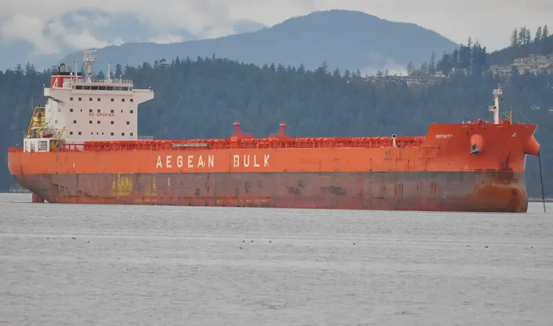 INFINITY Bulk Carrier IMO 9471264 photo 10
