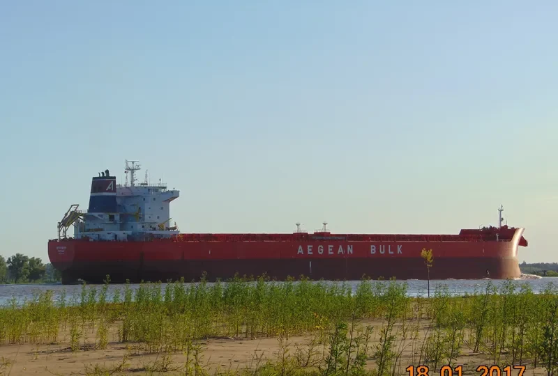 INTUITION Bulk Carrier IMO 9471276 photo 5
