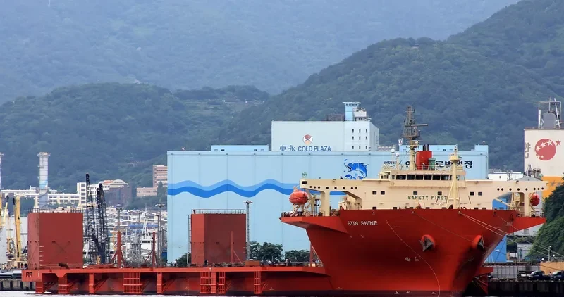SUN SHINE General Cargo IMO 9471616 photo 9