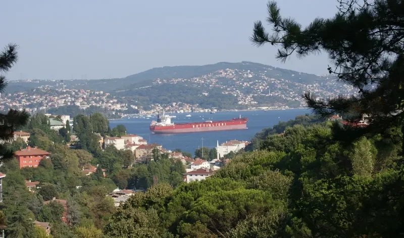 BOTTIGLIERI GIULIO BORRIELLO Bulk Carrier IMO 9471642 photo 8