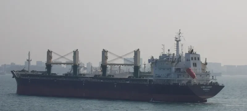 POLA DEVORA Bulk Carrier IMO 9471654 photo 2