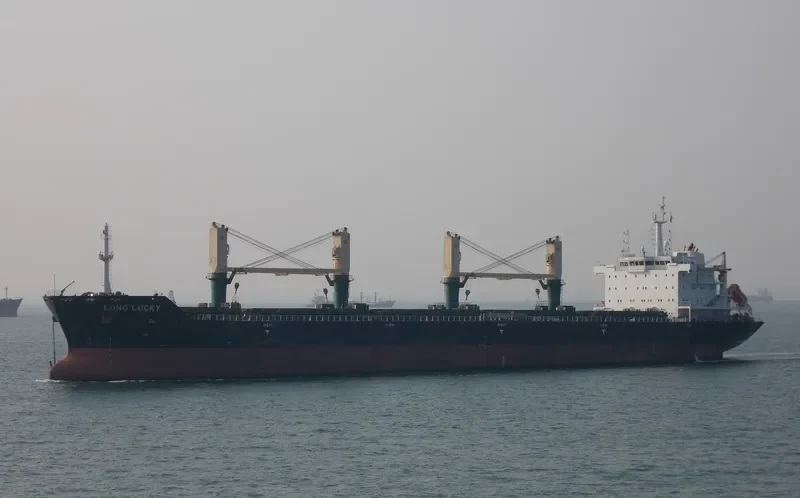 POLA DEVORA Bulk Carrier IMO 9471654 photo 3