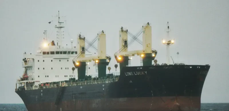 POLA DEVORA Bulk Carrier IMO 9471654 photo 4