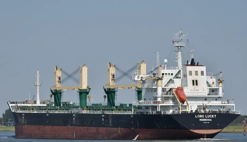 POLA DEVORA Bulk Carrier IMO 9471654 photo 6