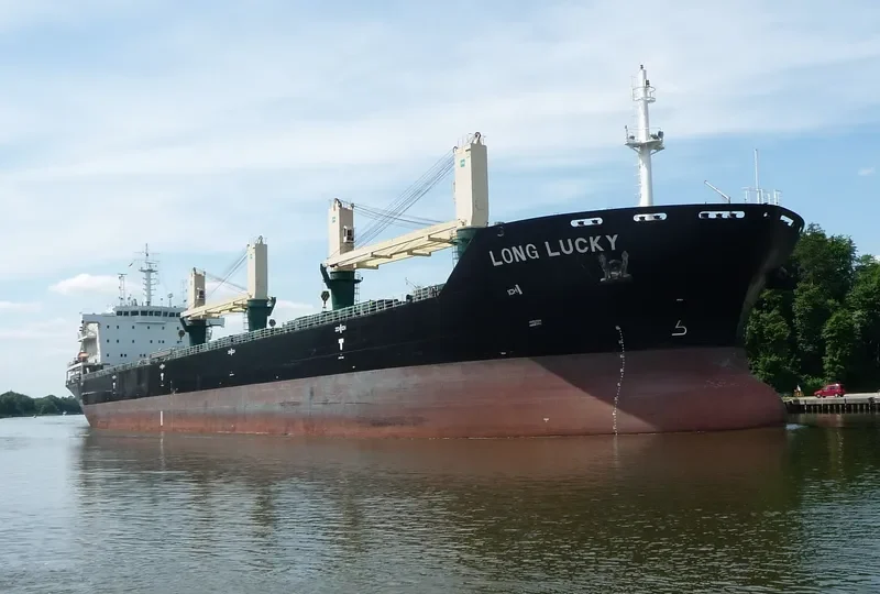 POLA DEVORA Bulk Carrier IMO 9471654 photo 8