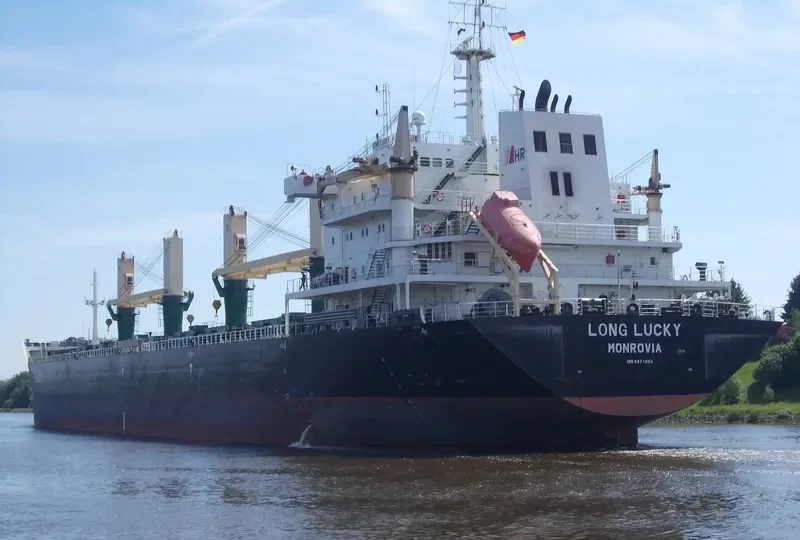 POLA DEVORA Bulk Carrier IMO 9471654 photo 9