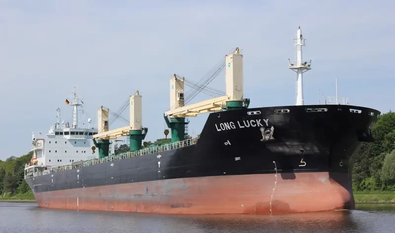 POLA DEVORA Bulk Carrier IMO 9471654 photo 10