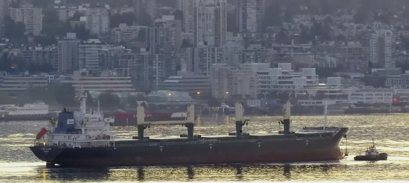 M CONFIDANTE Bulk Carrier IMO 9471666 photo 7