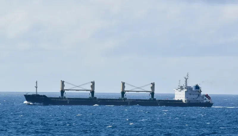 POLA ELISAVETA Bulk Carrier IMO 9471678