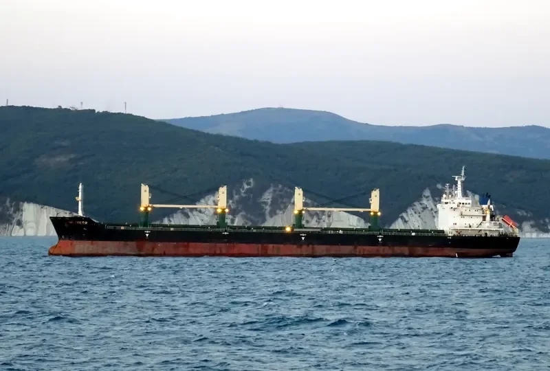 POLA ELISAVETA Bulk Carrier IMO 9471678 photo 2