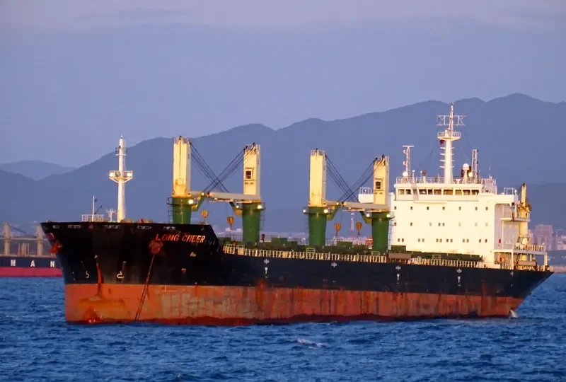 POLA ELISAVETA Bulk Carrier IMO 9471678 photo 3
