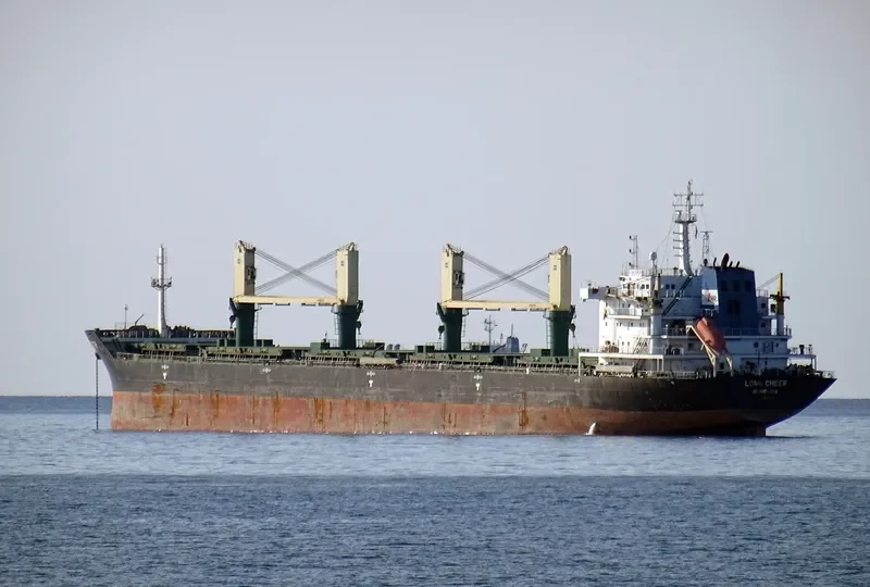 POLA ELISAVETA Bulk Carrier IMO 9471678 photo 5