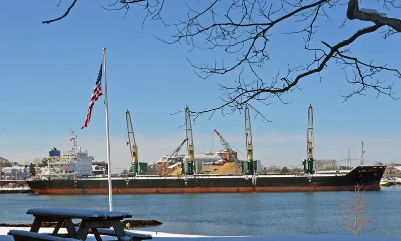 POLA ELISAVETA Bulk Carrier IMO 9471678 photo 7
