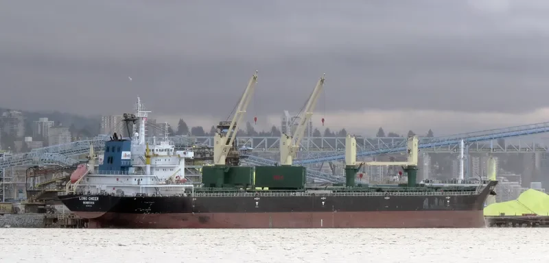 POLA ELISAVETA Bulk Carrier IMO 9471678 photo 8