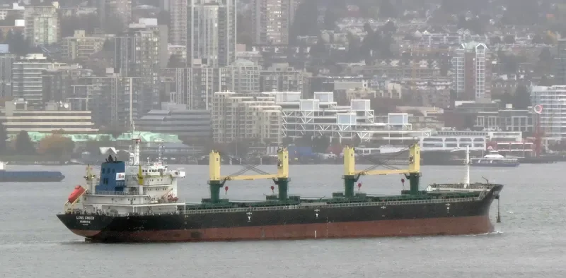 POLA ELISAVETA Bulk Carrier IMO 9471678 photo 10