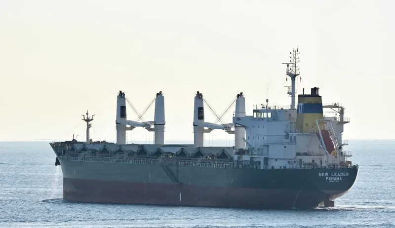 NEW LEADER Bulk Carrier IMO 9471795