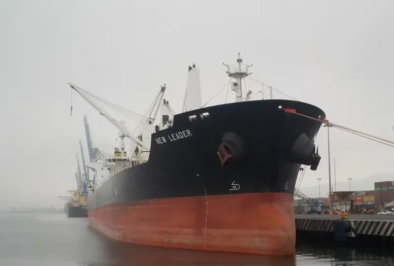 NEW LEADER Bulk Carrier IMO 9471795 photo 4