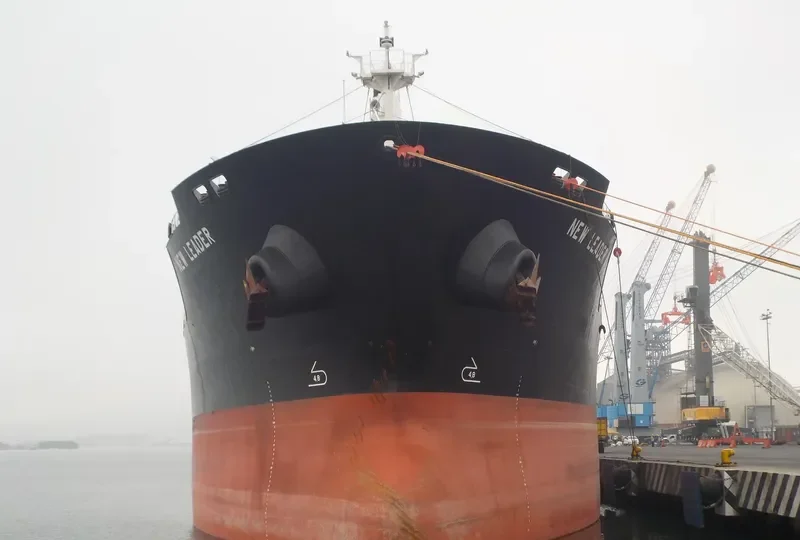 NEW LEADER Bulk Carrier IMO 9471795 photo 5