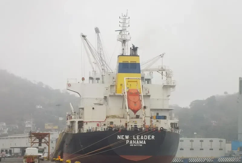 NEW LEADER Bulk Carrier IMO 9471795 photo 7