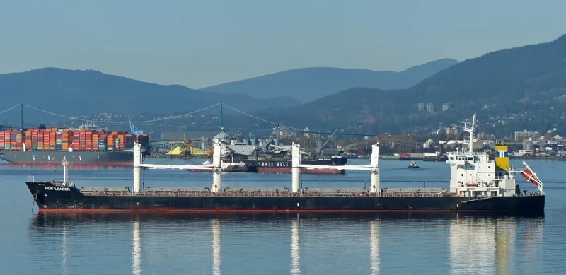 NEW LEADER Bulk Carrier IMO 9471795 photo 9