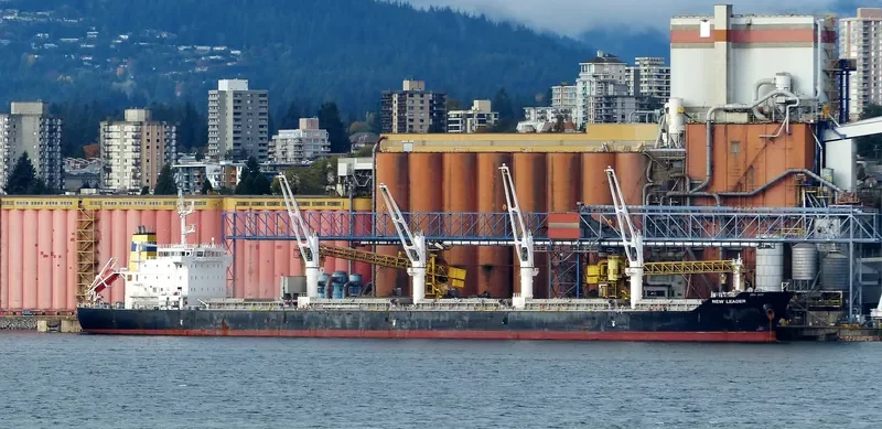 NEW LEADER Bulk Carrier IMO 9471795 photo 10