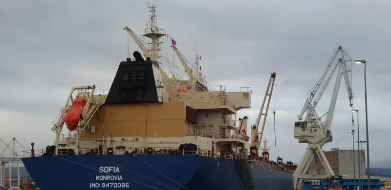 SOFIA Bulk Carrier IMO 9472086 photo 4
