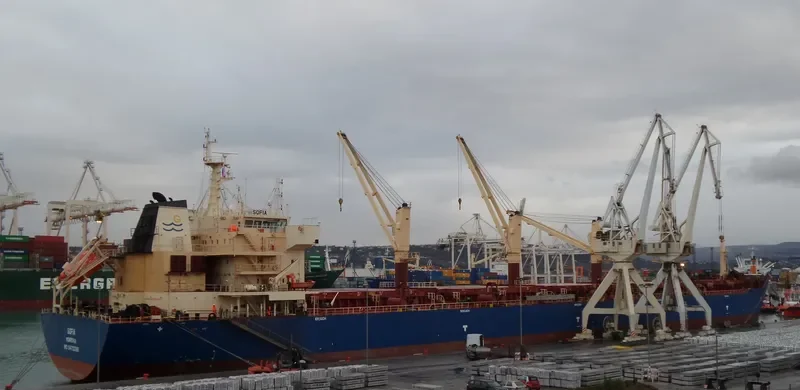 SOFIA Bulk Carrier IMO 9472086 photo 5
