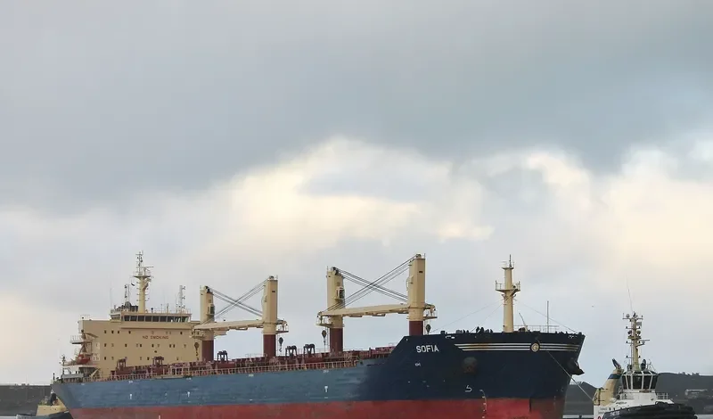 SOFIA Bulk Carrier IMO 9472086 photo 7