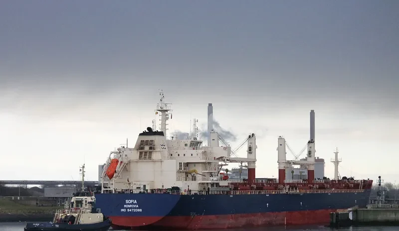 SOFIA Bulk Carrier IMO 9472086 photo 8